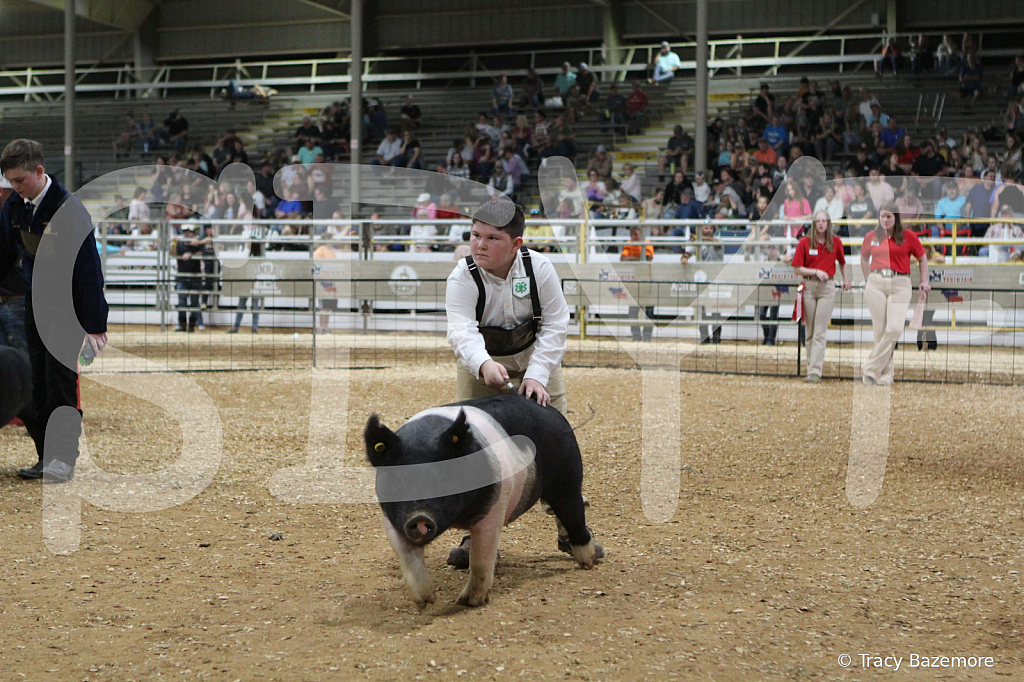 swine0680