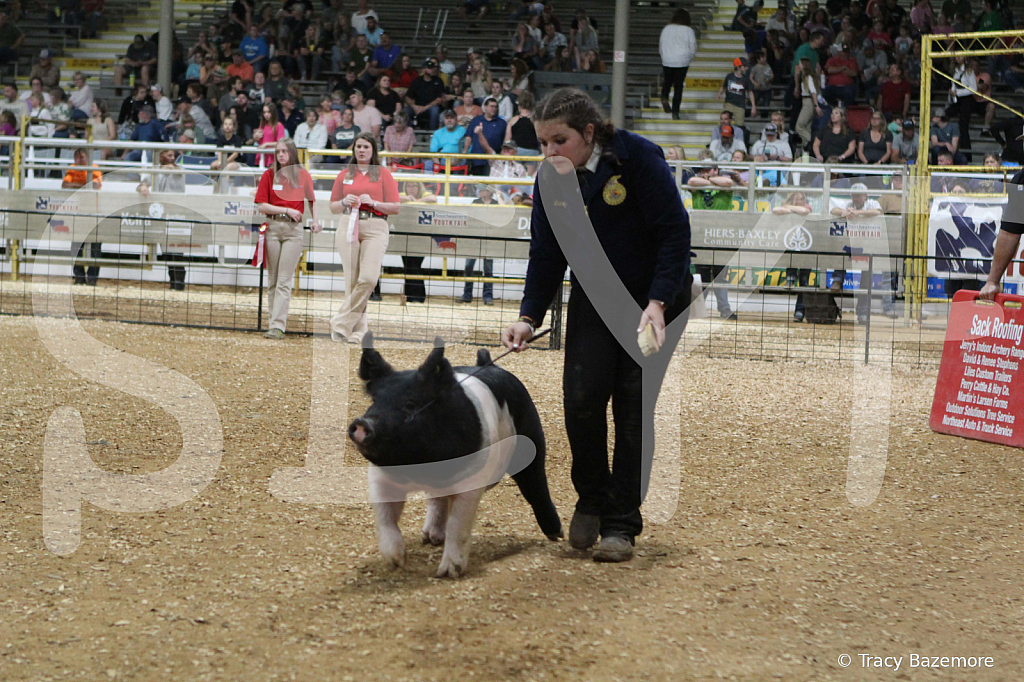 swine0682
