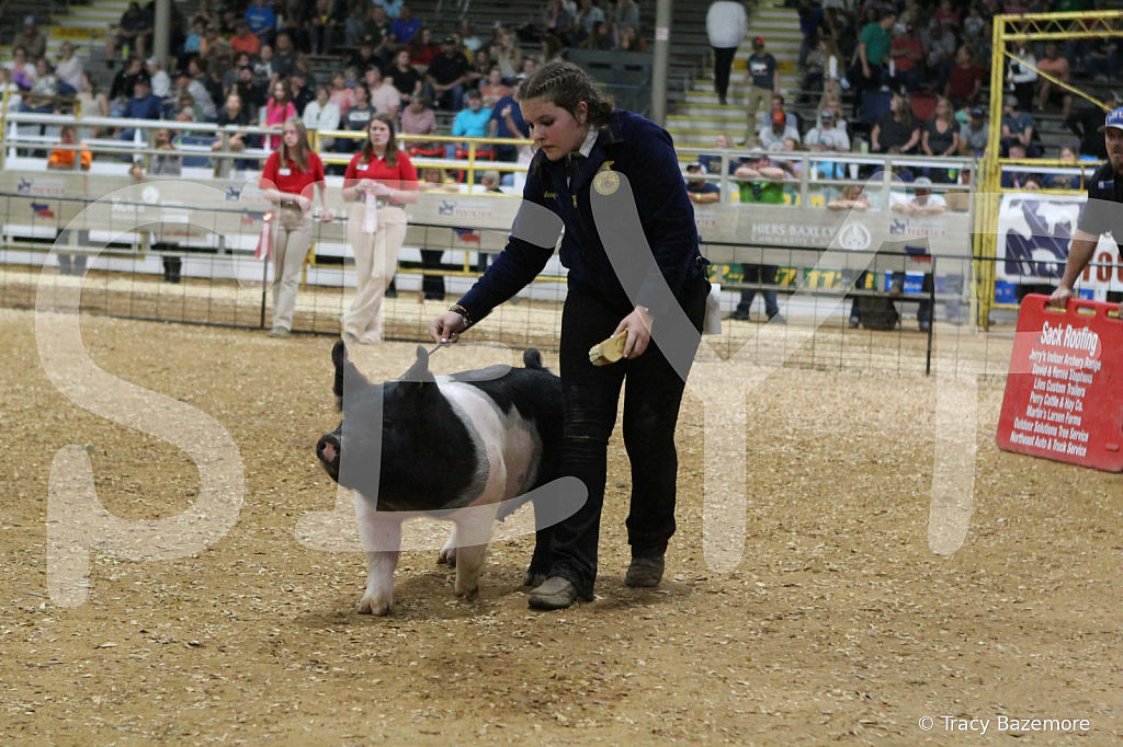 swine0683