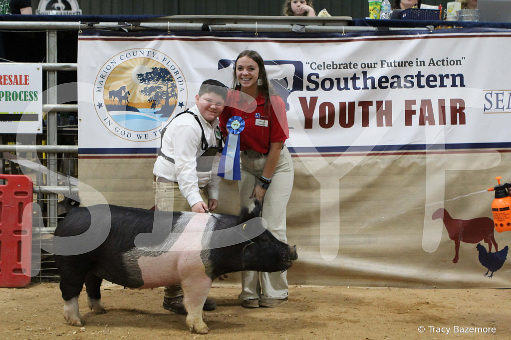 swine0684