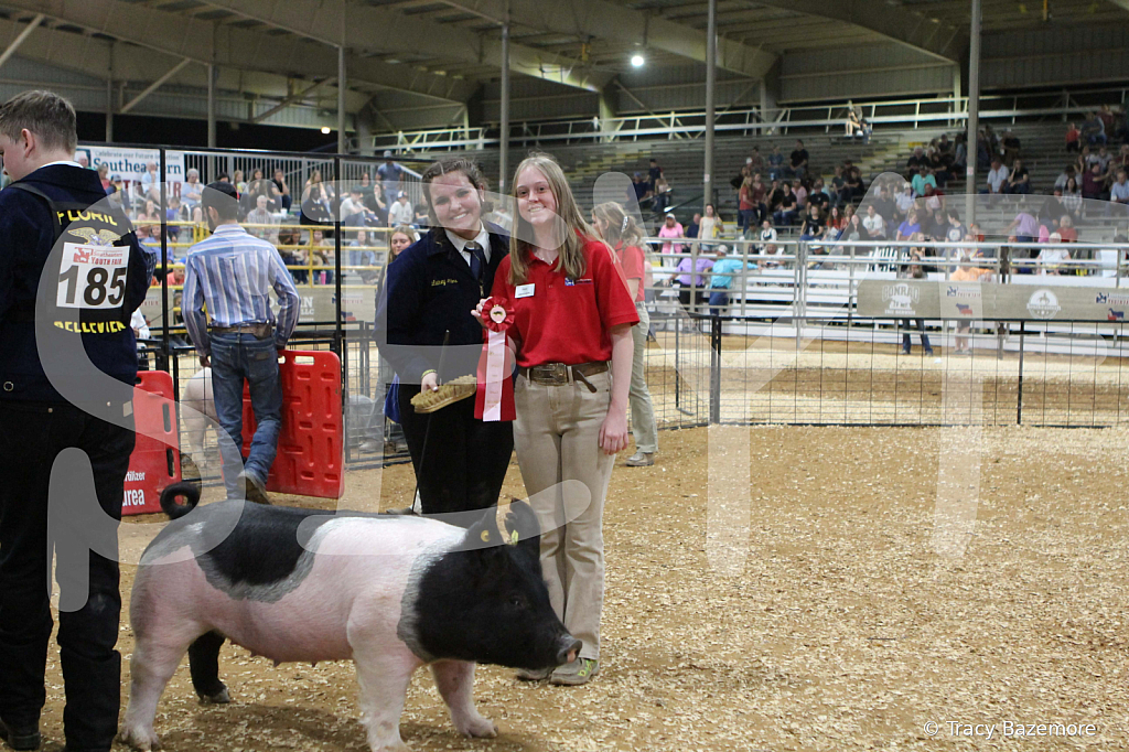 swine0687