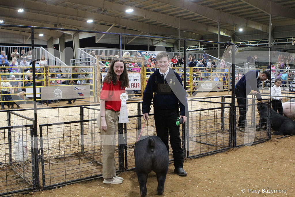 swine0689