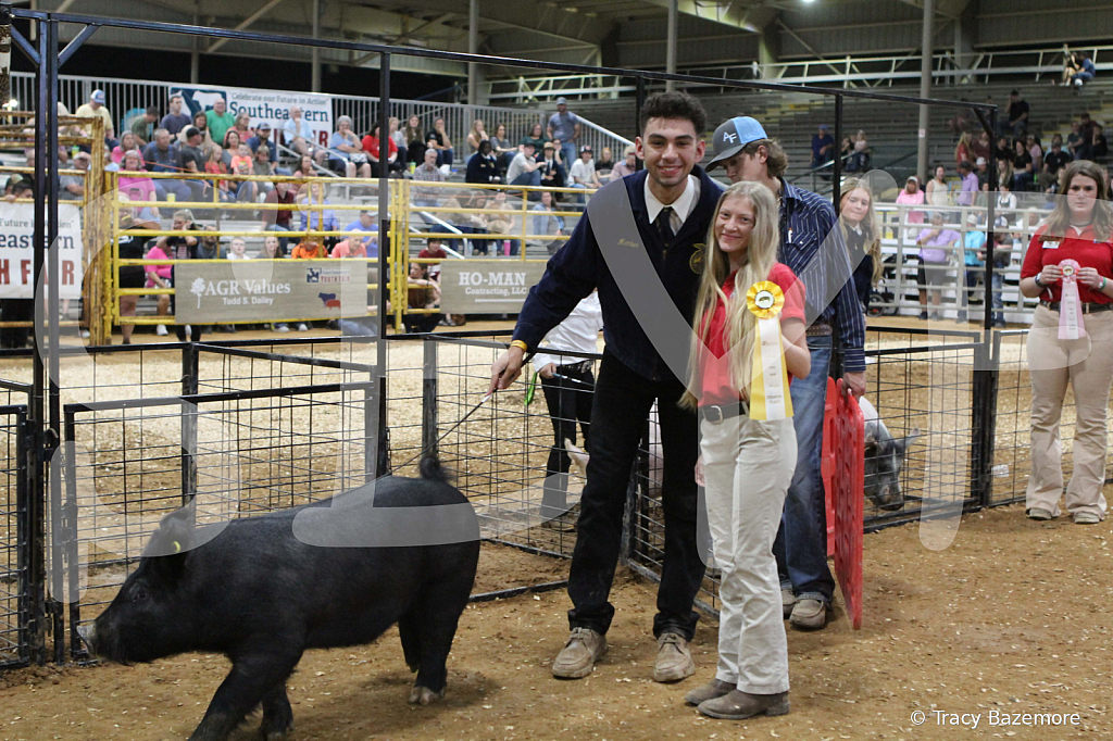 swine0690