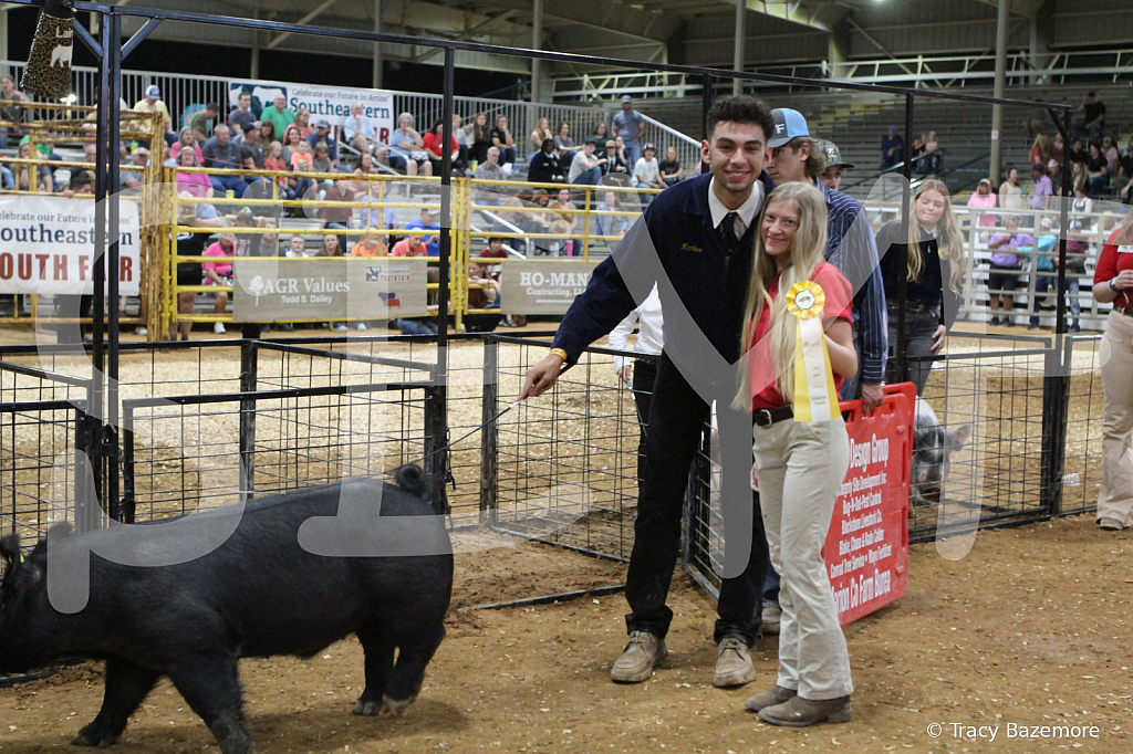 swine0691