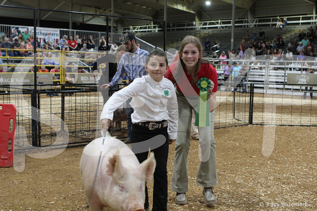 swine0692