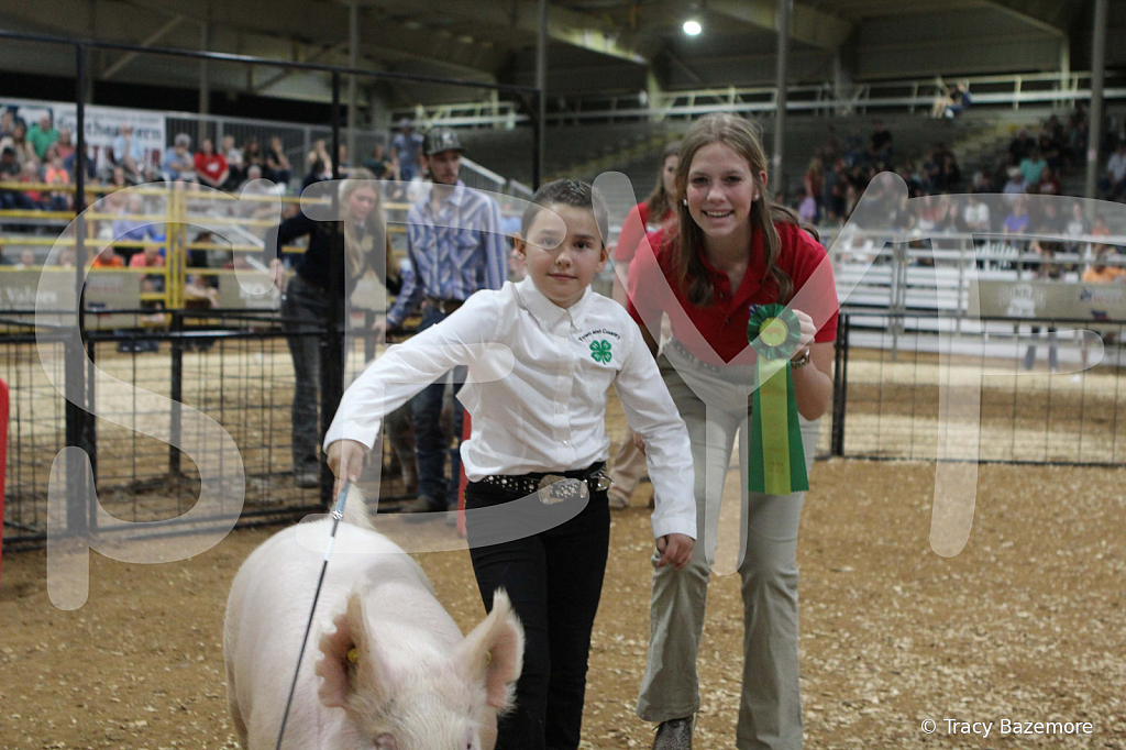 swine0693