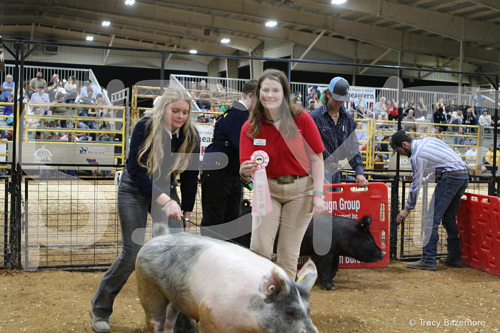 swine0694