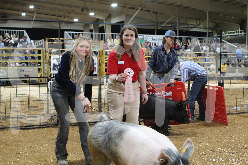 swine0695