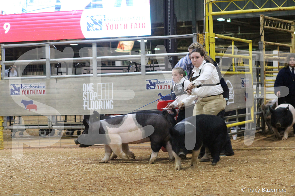 swine0698