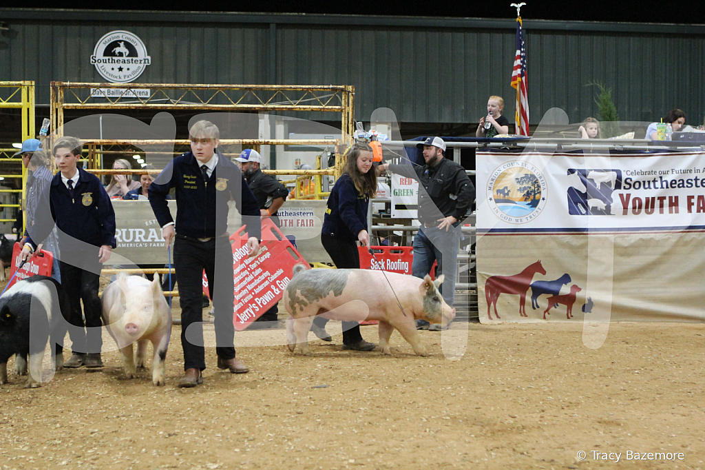 swine0699