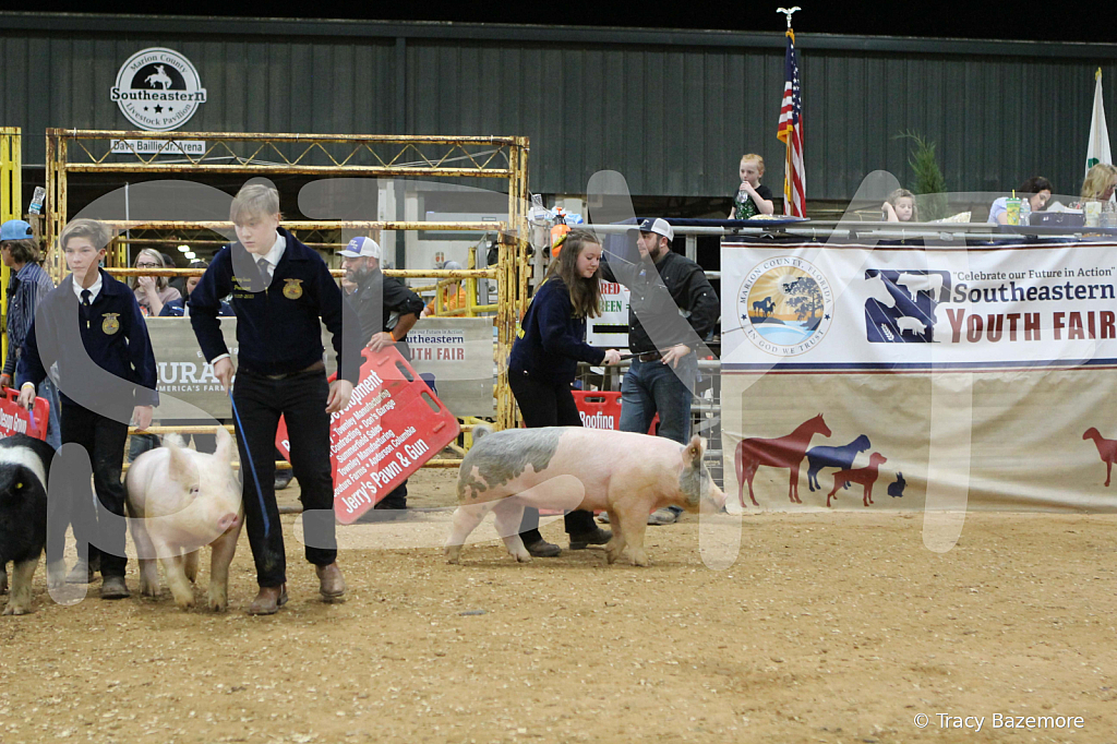 swine0700
