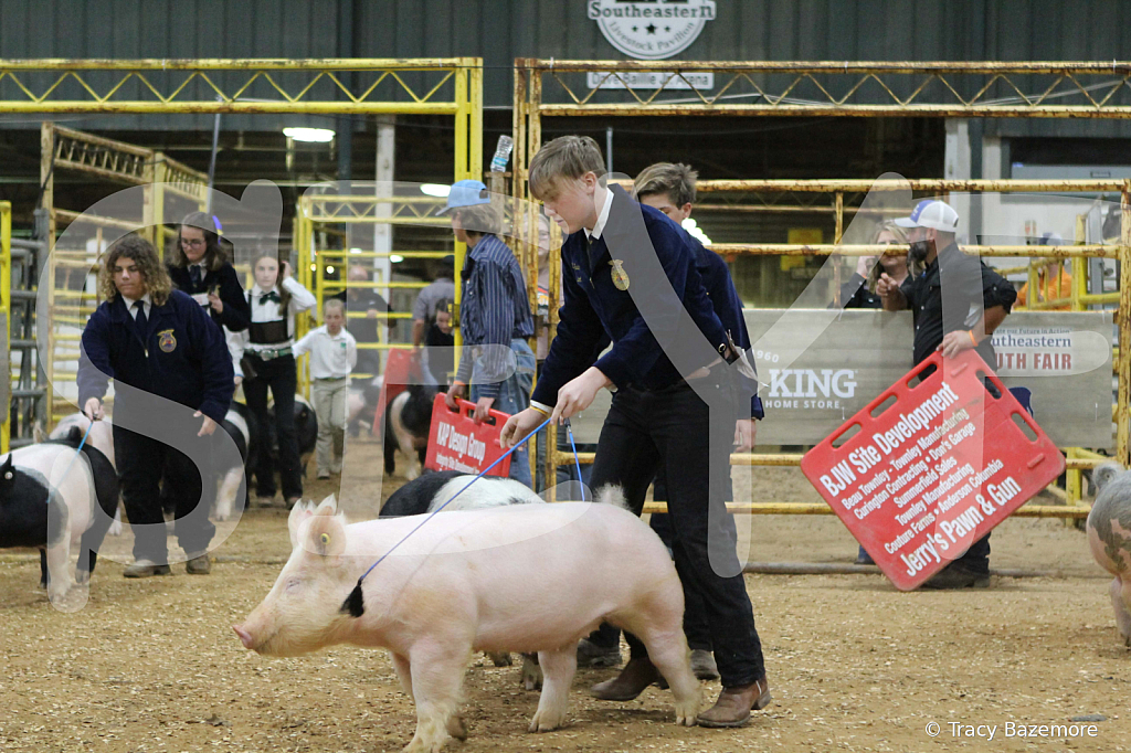 swine0701