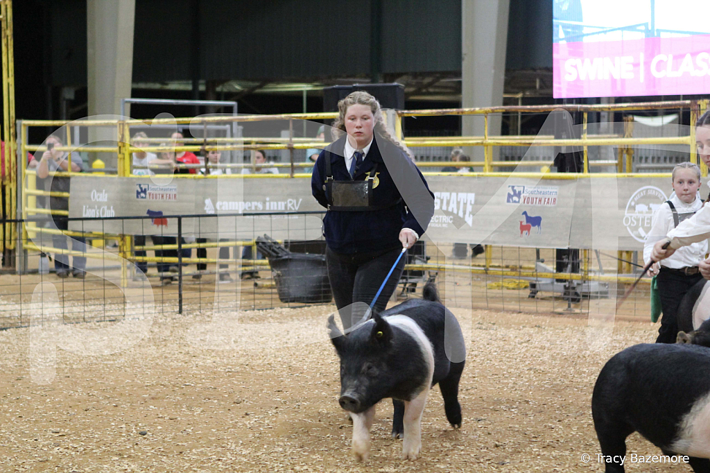 swine0702