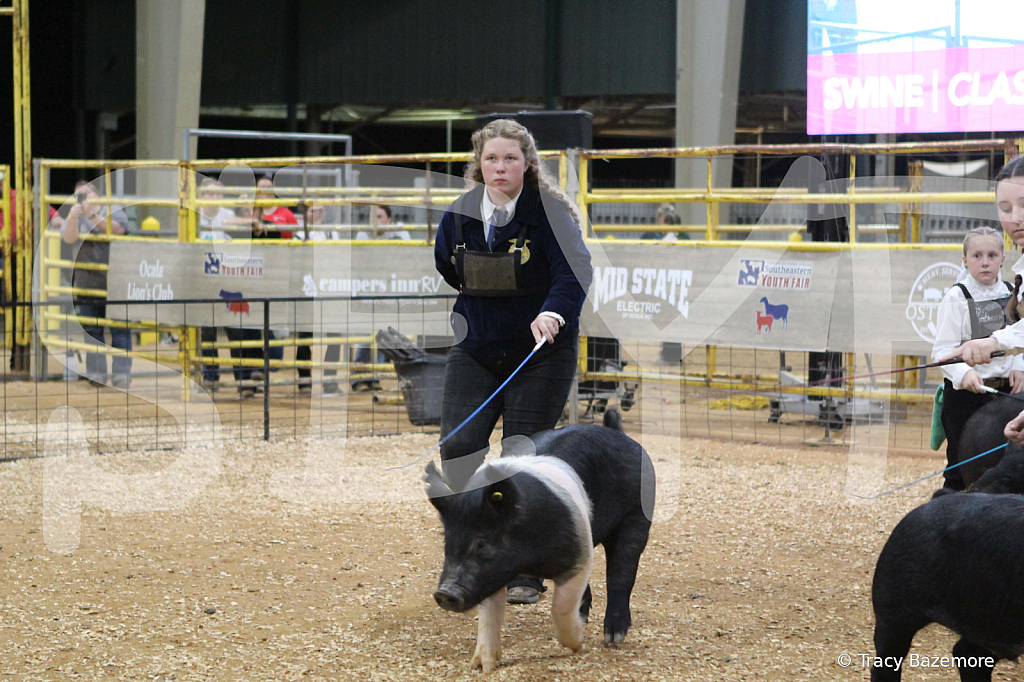 swine0703