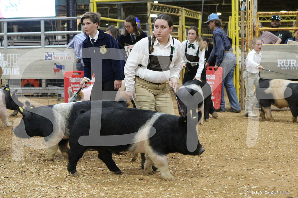 swine0704