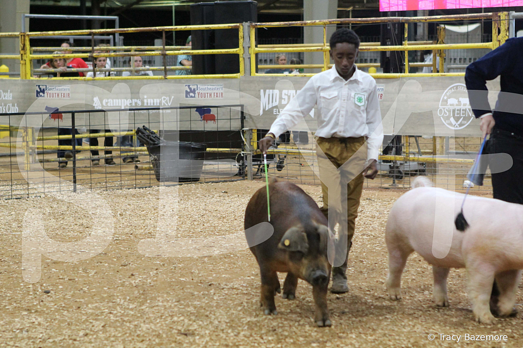 swine0706