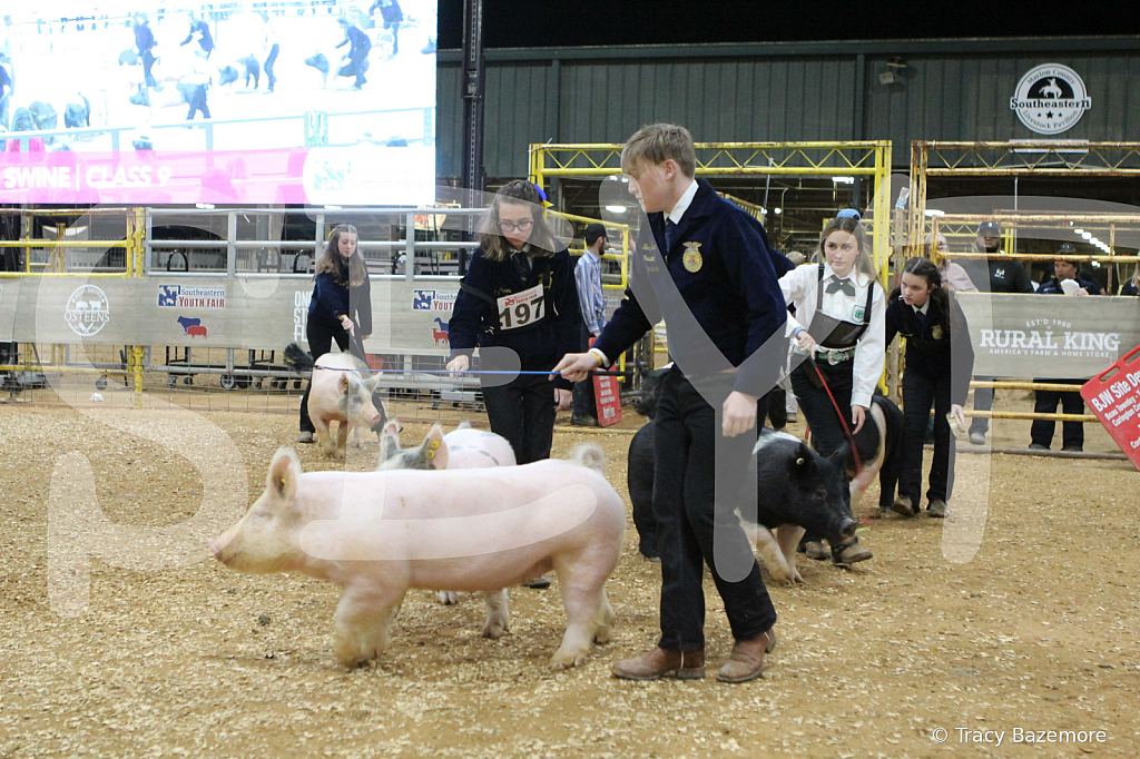 swine0707