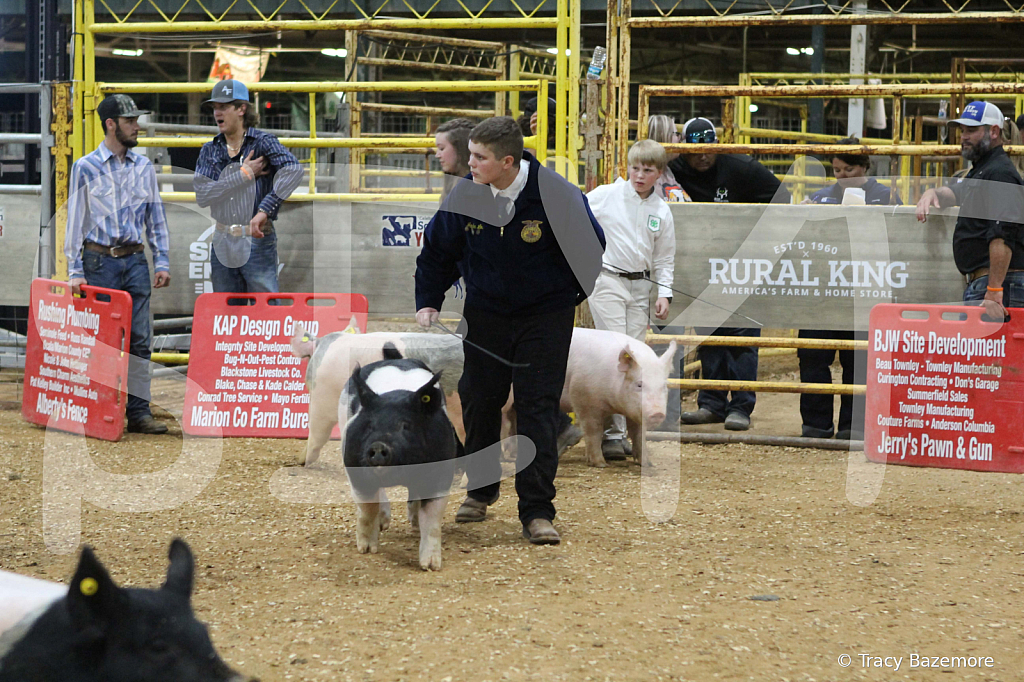 swine0710