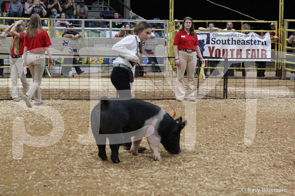 swine0711