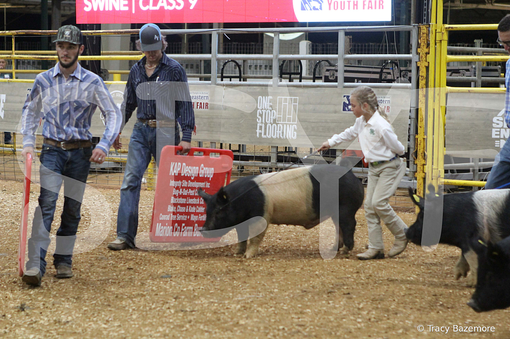 swine0712