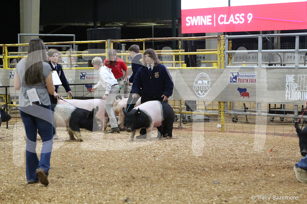 swine0714