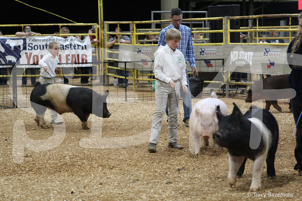 swine0715