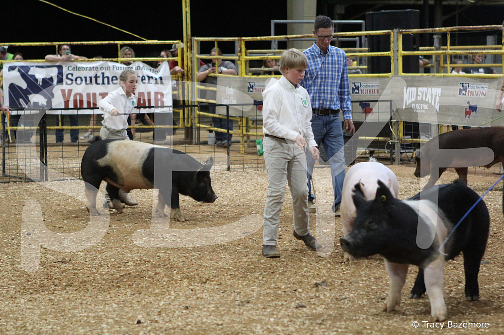 swine0716
