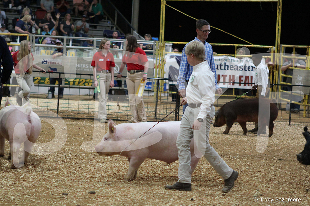 swine0717