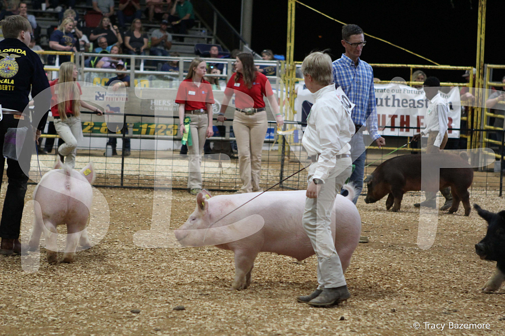swine0718