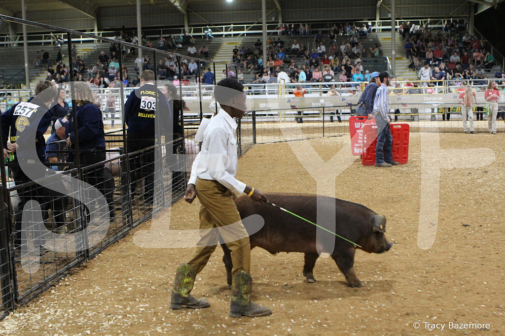 swine0722