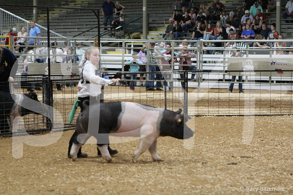 swine0725