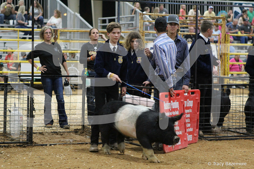 swine0727