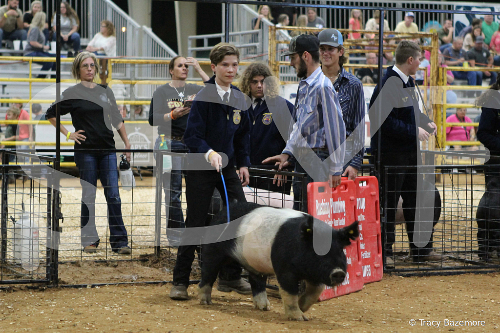 swine0728