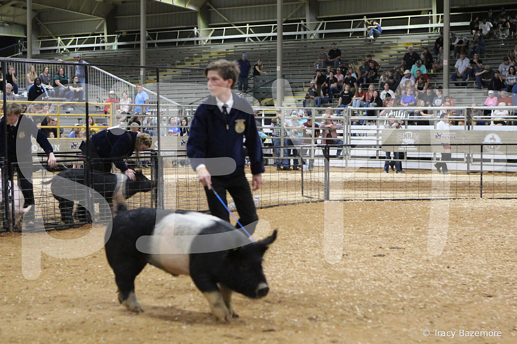 swine0729