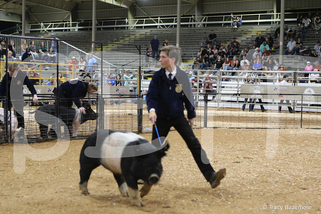 swine0730