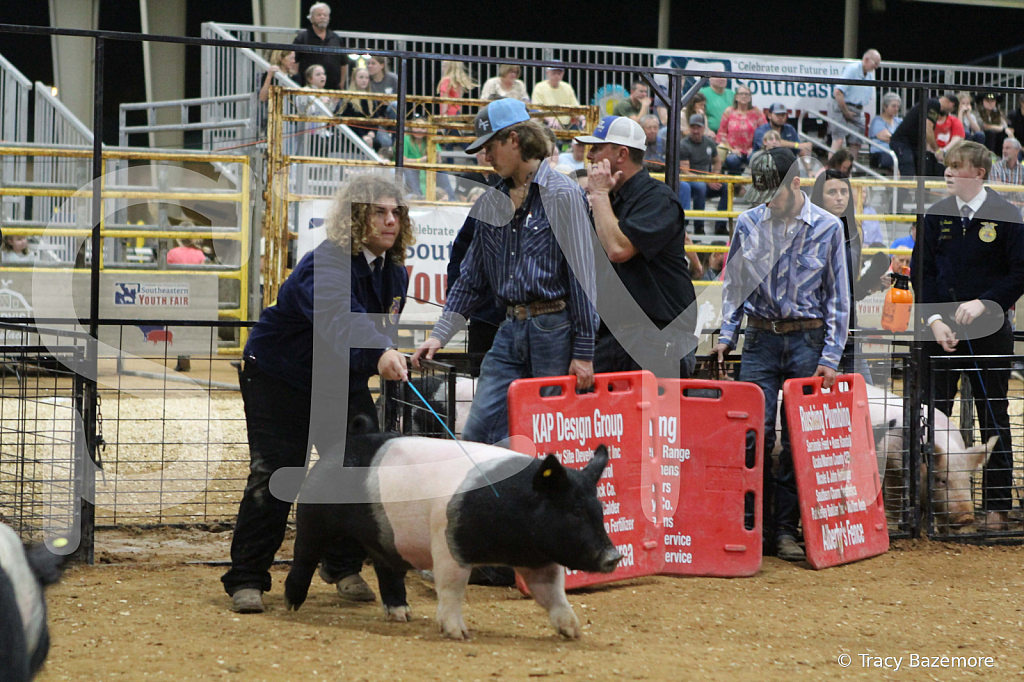 swine0731