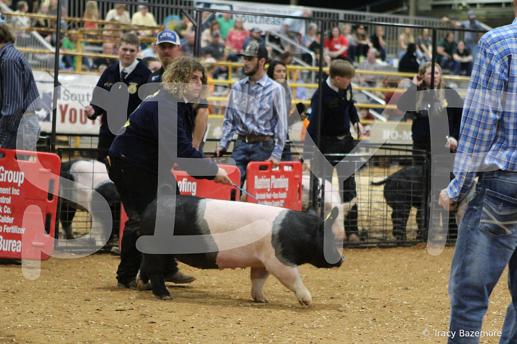 swine0732