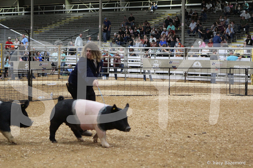 swine0733