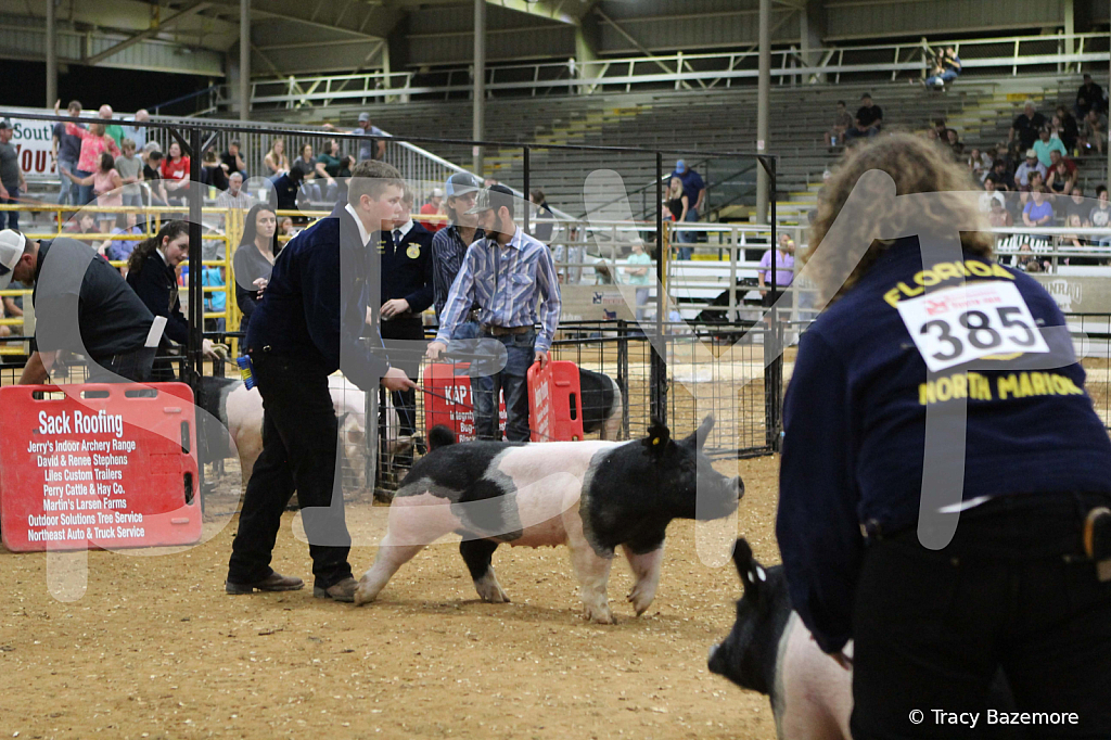 swine0734