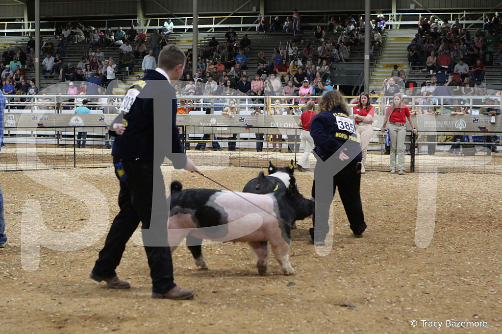 swine0735