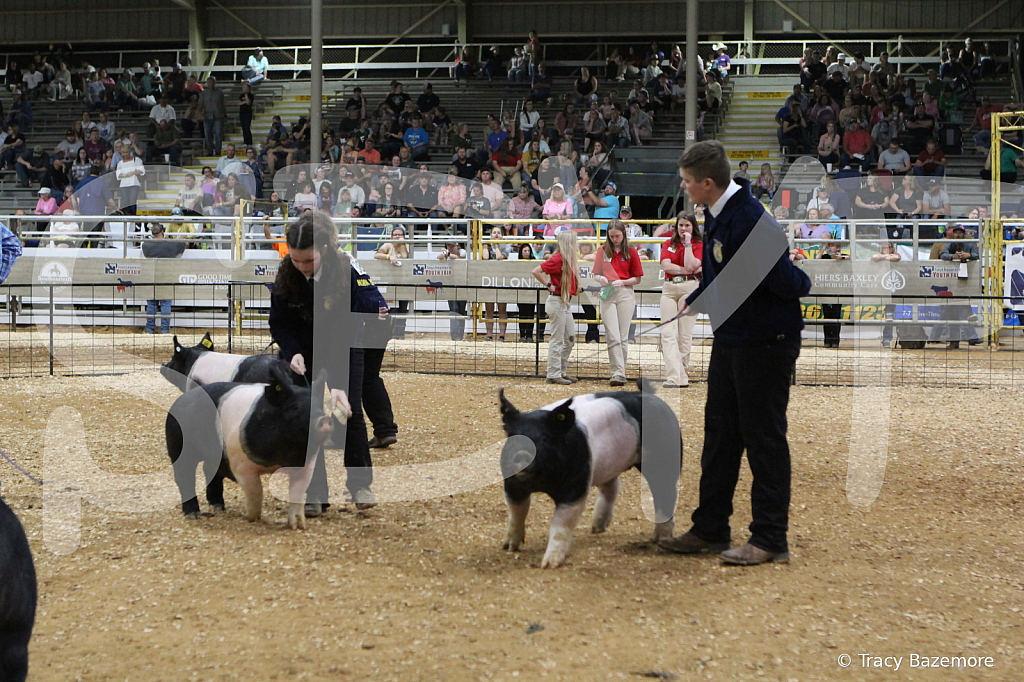 swine0739