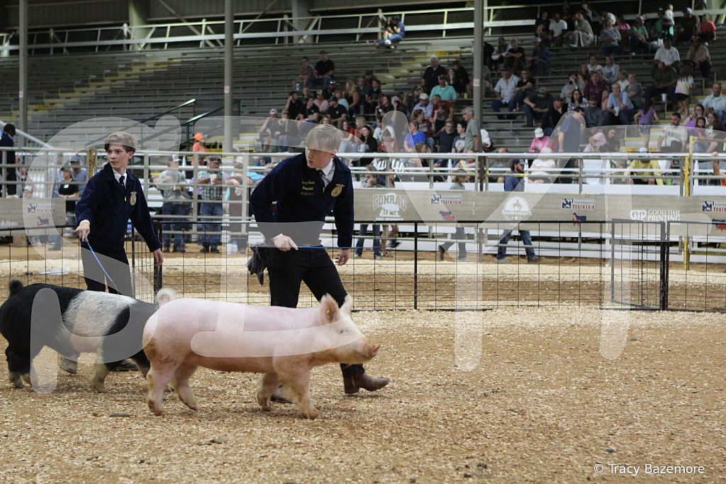 swine0741