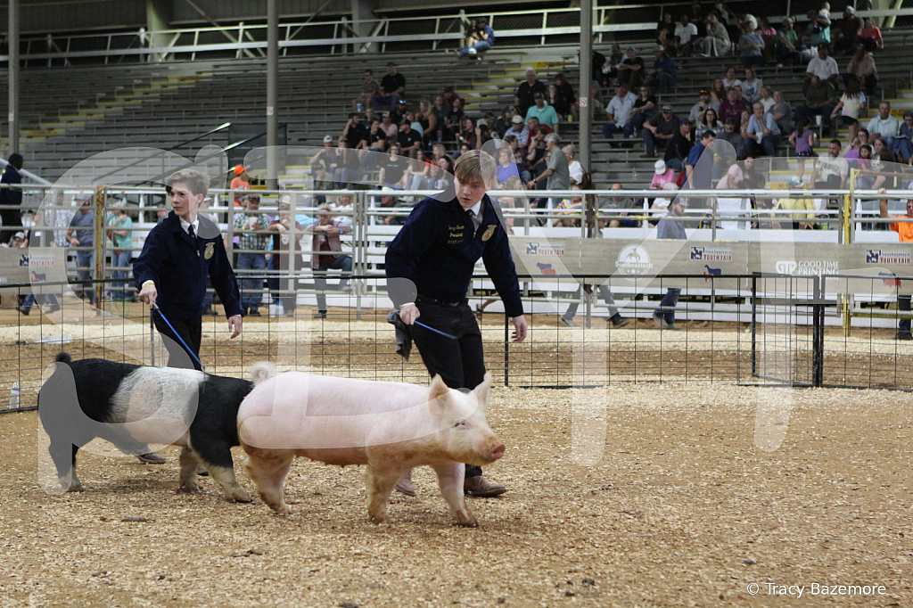 swine0742