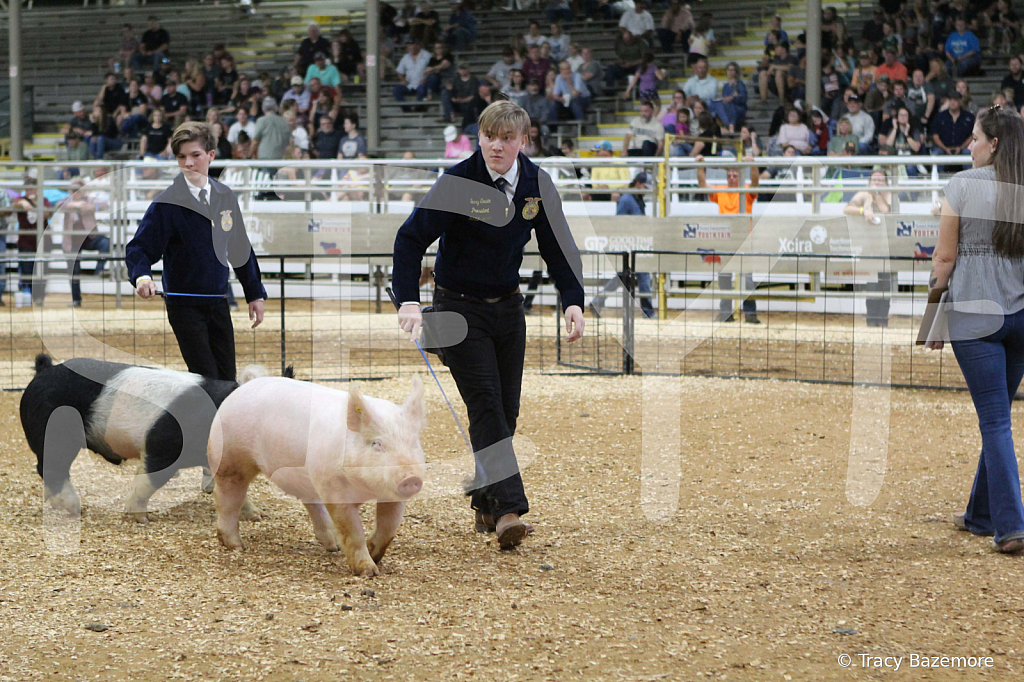 swine0743