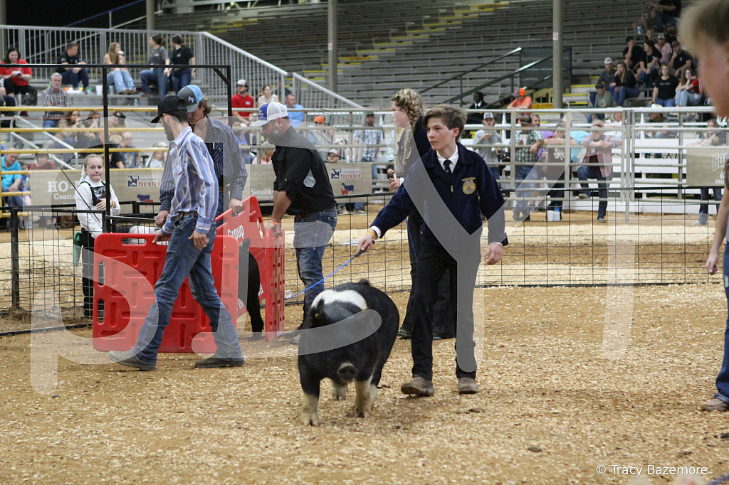 swine0744