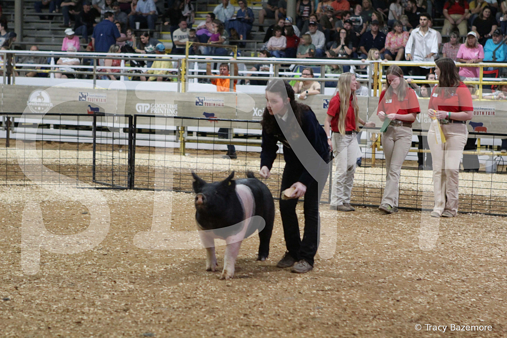 swine0746
