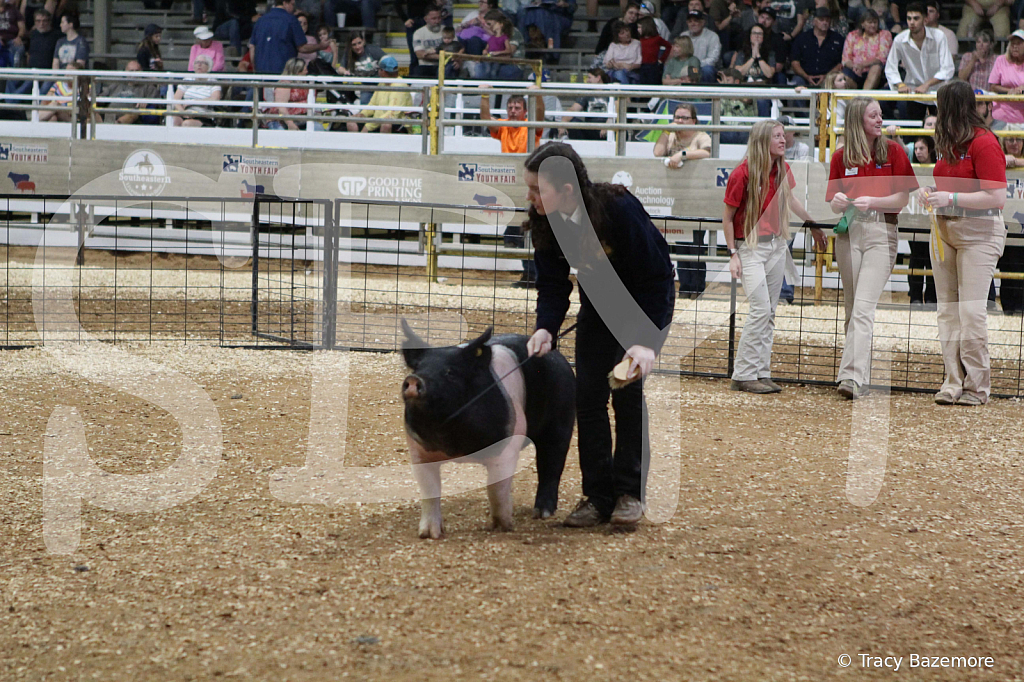 swine0747