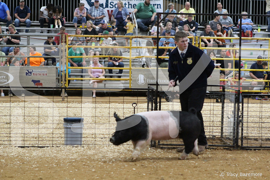 swine0748