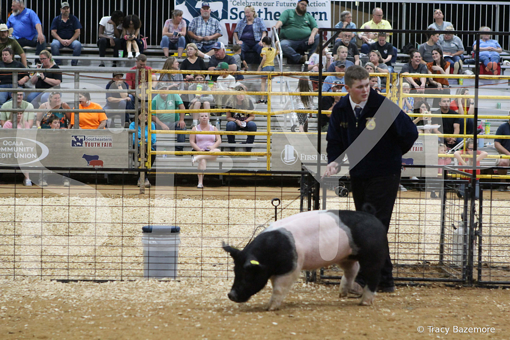 swine0749