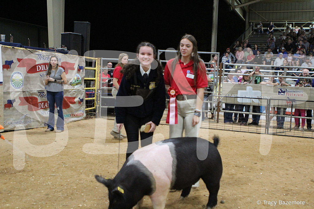 swine0753